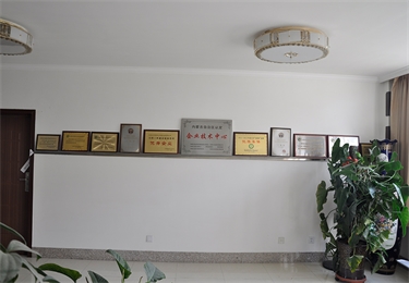 獎(jiǎng)杯展示