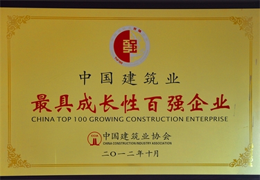 中國建筑業(yè)最具成長性百強(qiáng)企業(yè)
