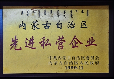 內(nèi)蒙古自治區(qū)先進(jìn)私營企業(yè)